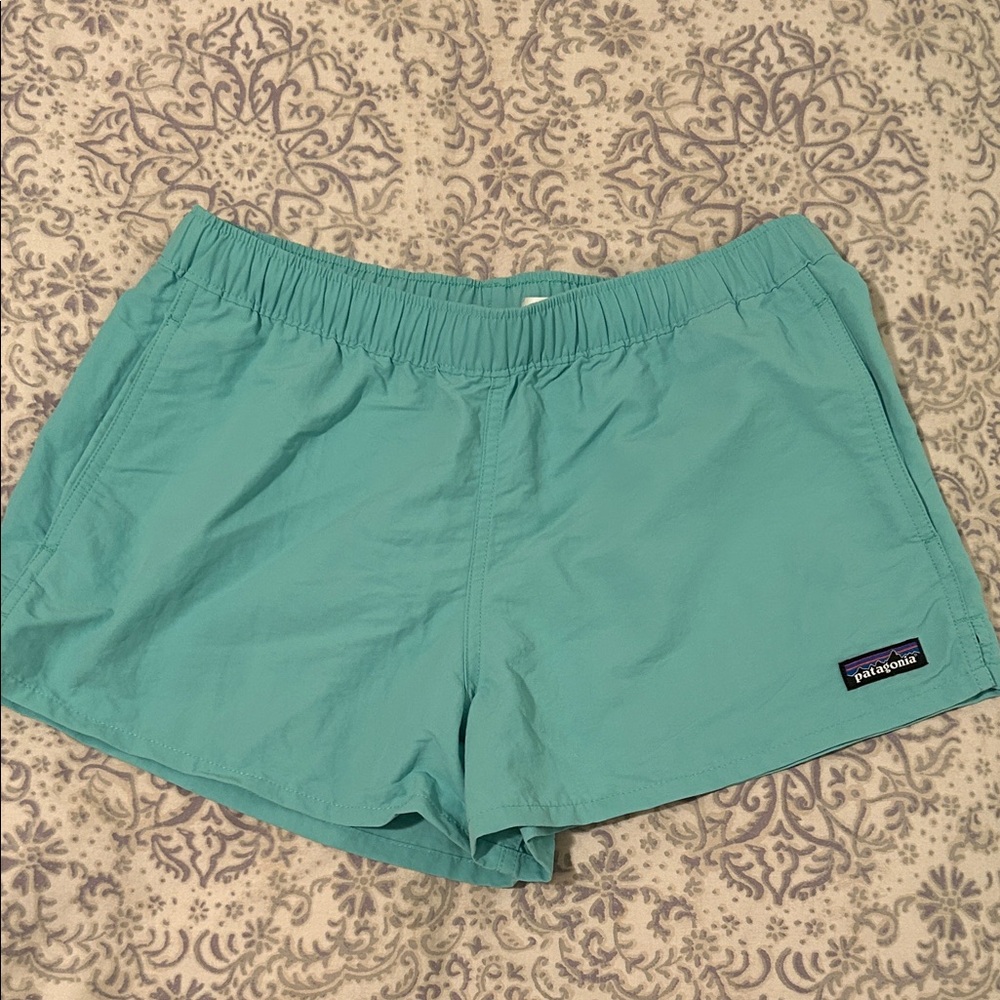 Patagonia water resistant shorts